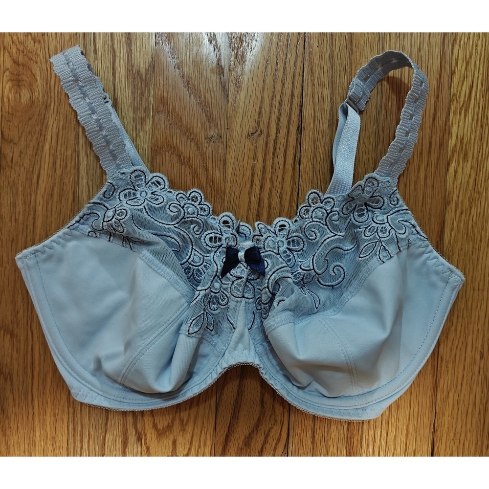 Fayreform Full Cup‎ Blue Bra 32 F Nwot